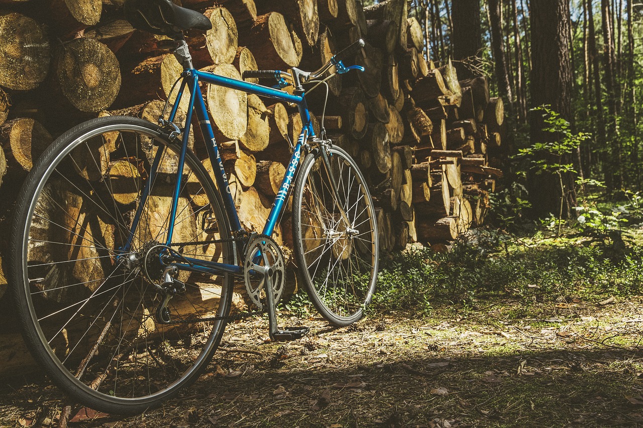 Rad im Wald