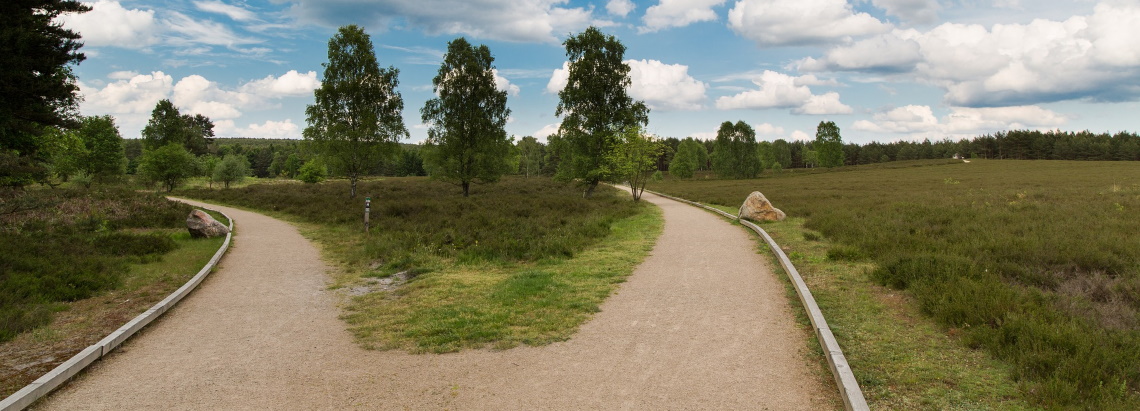 Hermannsburg