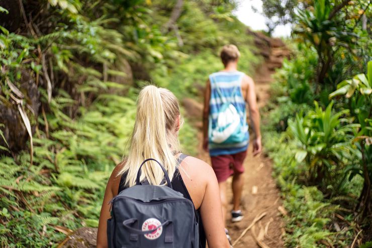 Hiker Hiker
