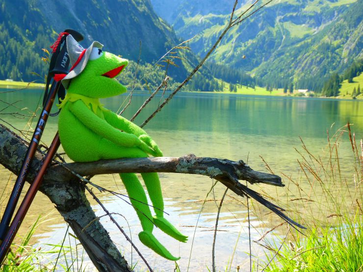 Kermit-Wanderstock